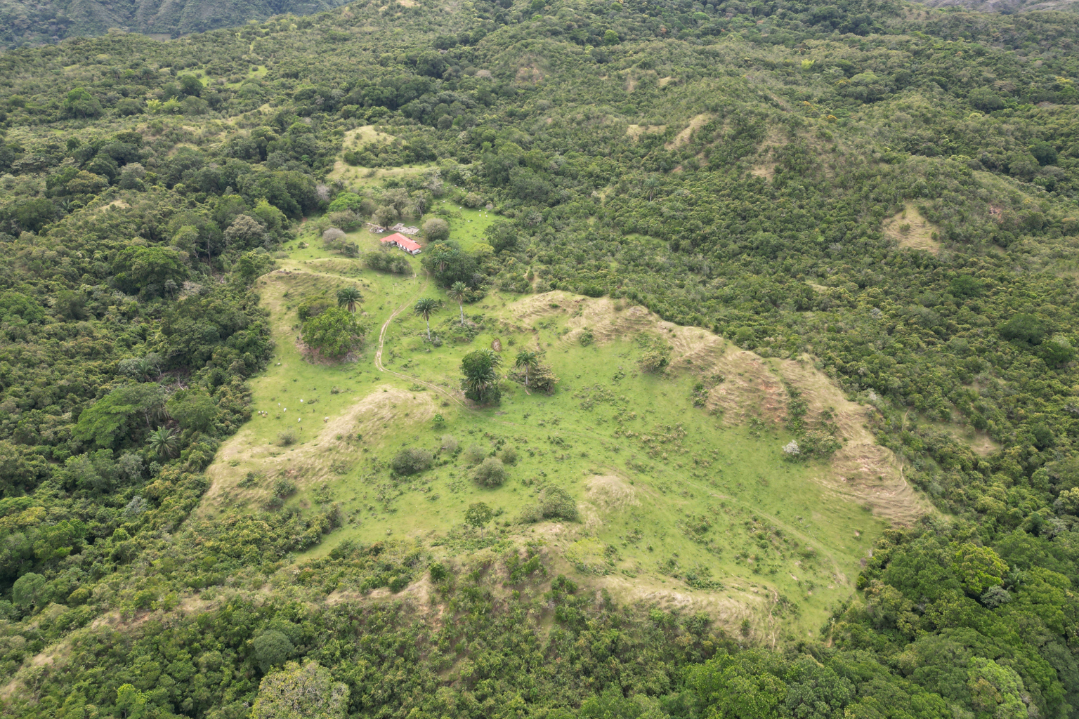 BONO DE CONSERVACIÓN